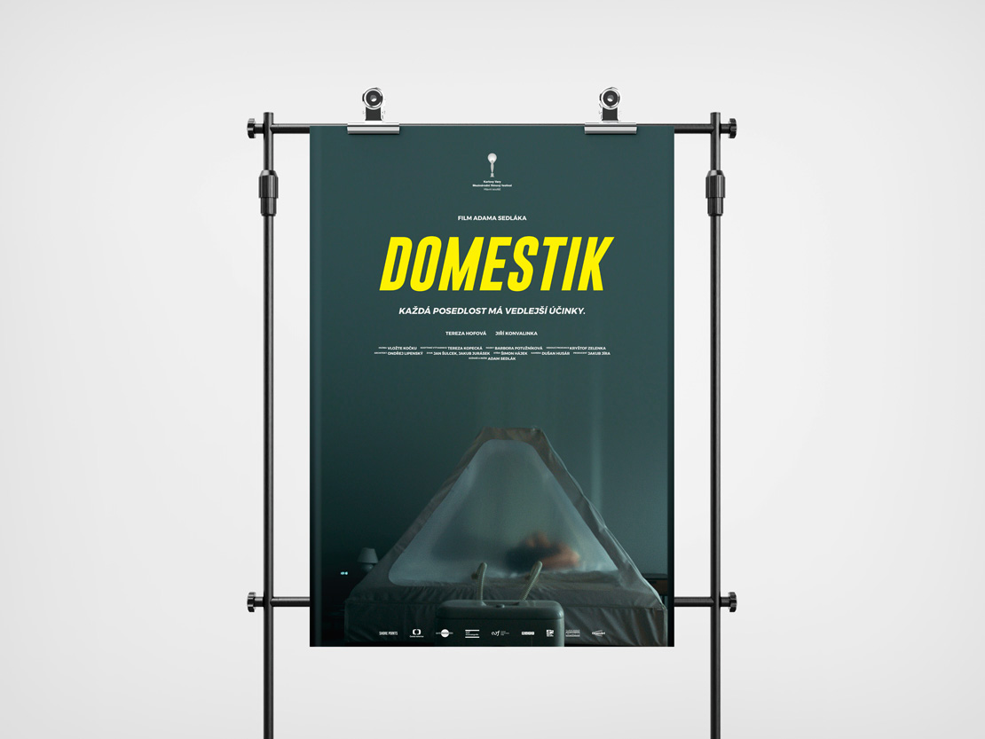 Film Domestik — plakát